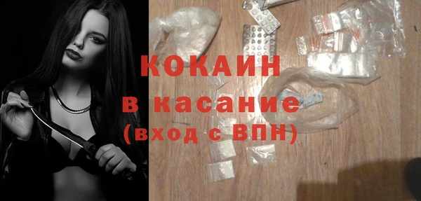гидра Покачи