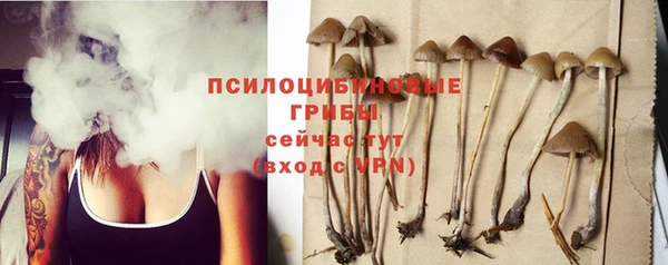 гидра Покачи