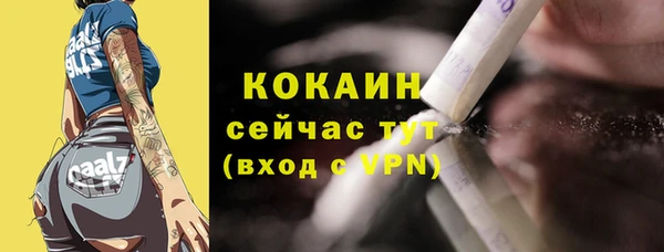 гидра Покачи