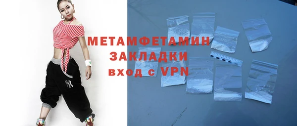 гидра Покачи