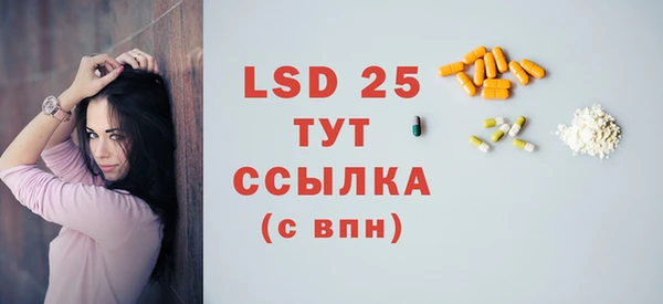 гидра Покачи