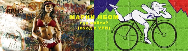 гидра Покачи