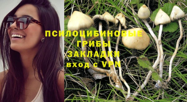 гидра Покачи