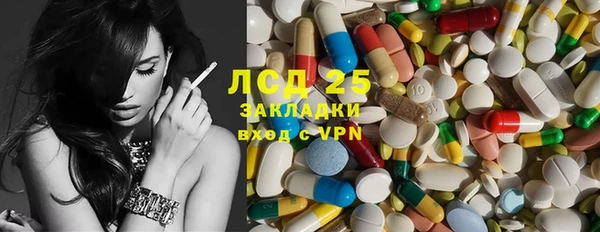 гидра Покачи