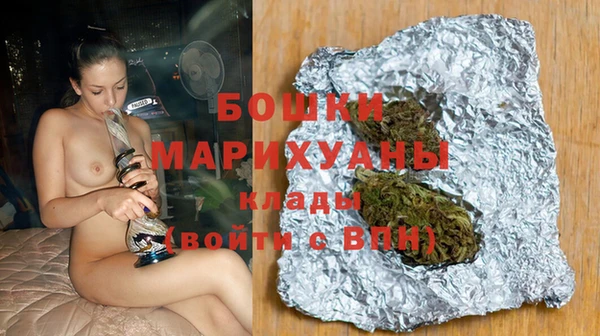 гидра Покачи