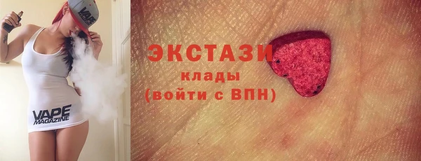 гидра Покачи