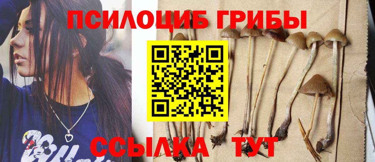 Галлюциногенные грибы Cubensis  Галлюциногенные грибы мицелий  Вход с VPN  Старая Купавна 